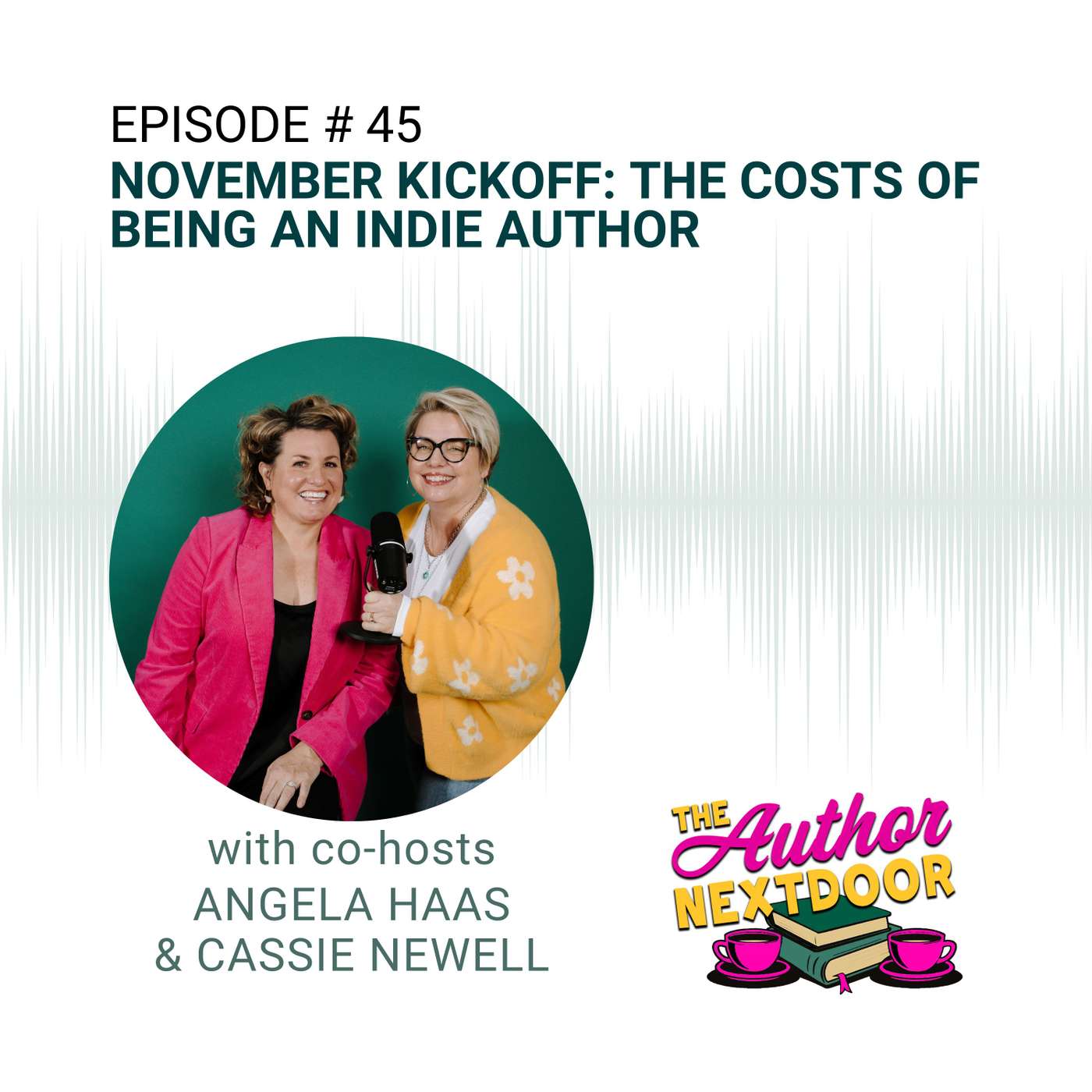 Episode 45: November Kickoff: The Costs of Being an Indie Author