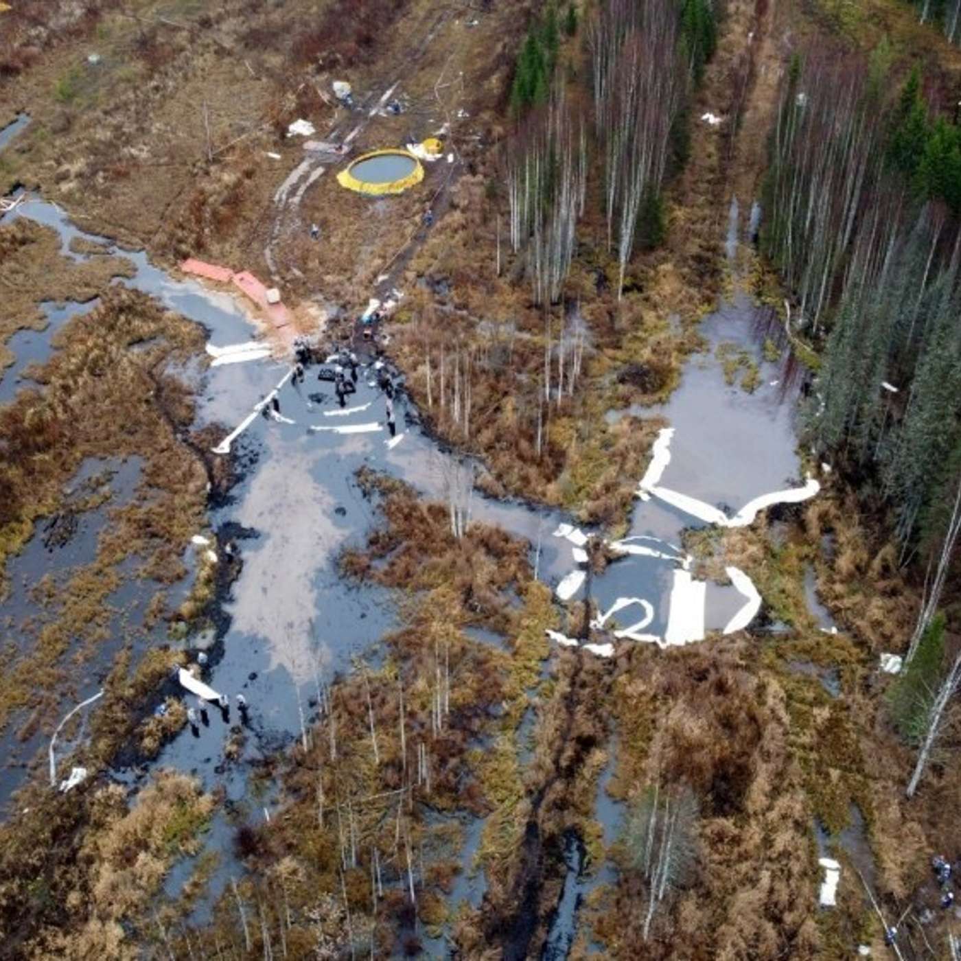В Коми губернатор и бизнесмены дезинформировали людей о масштабах бедствия из-за разлива нефти