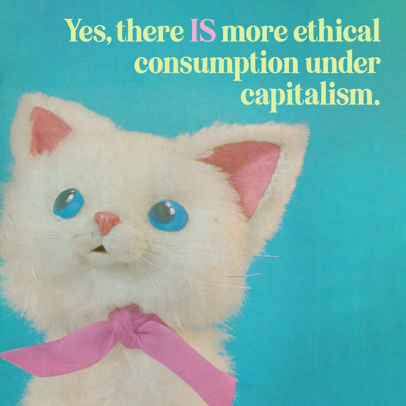 Episode 256: There IS (more) ethical consumption under capitalism (part one) with Lisa of Retro Housewife Goes Green Episode 256: There IS (more) ethical consumption under capitalism (part one) with Lisa of Retro Housewife Goes Green