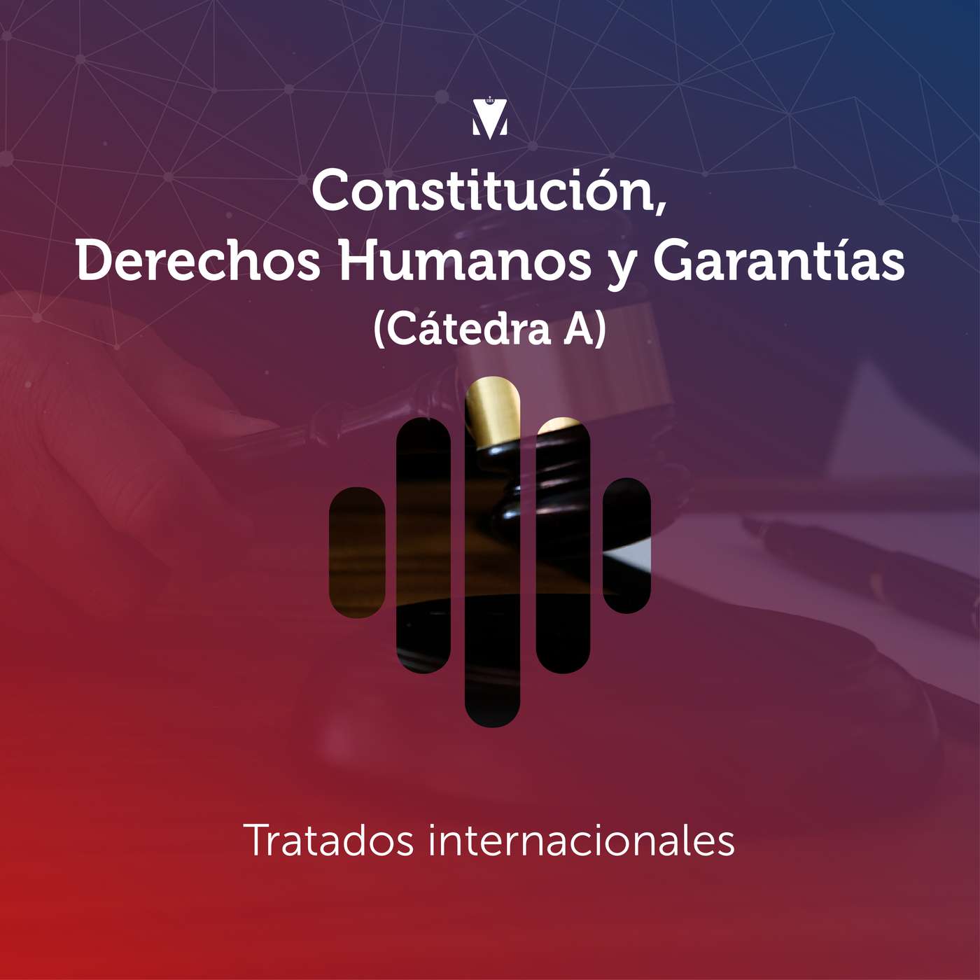 2 - CONSTITUCIÓN, DERECHOS HUMANOS Y GARANTÍAS (CÁTEDRA A): Tratados internacionales episode artwork