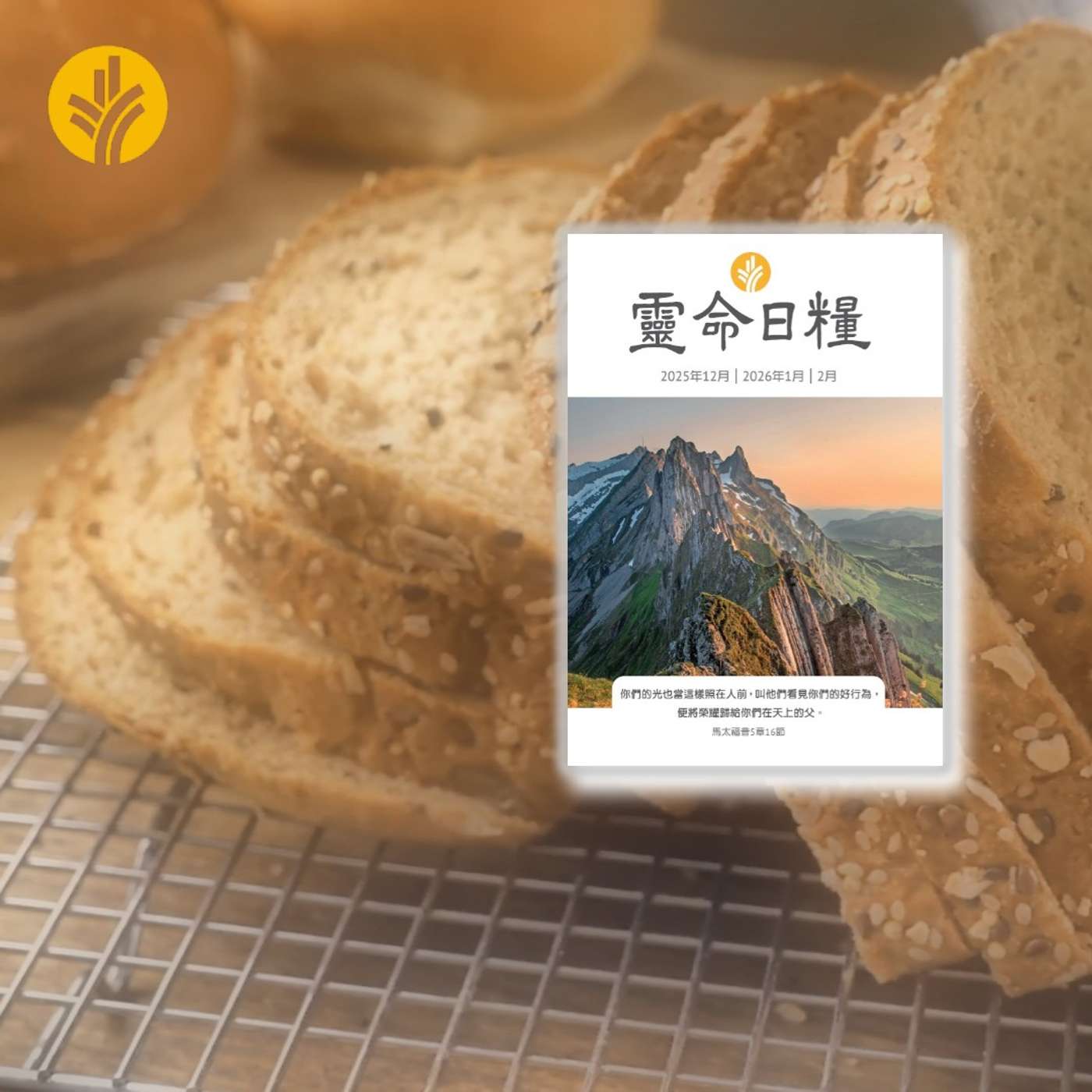 2月25日  妄稱上帝的名