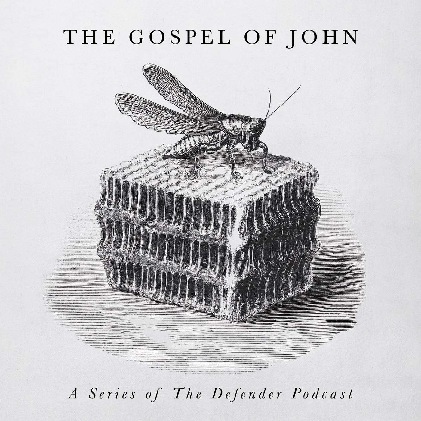 The Defender Bible Study