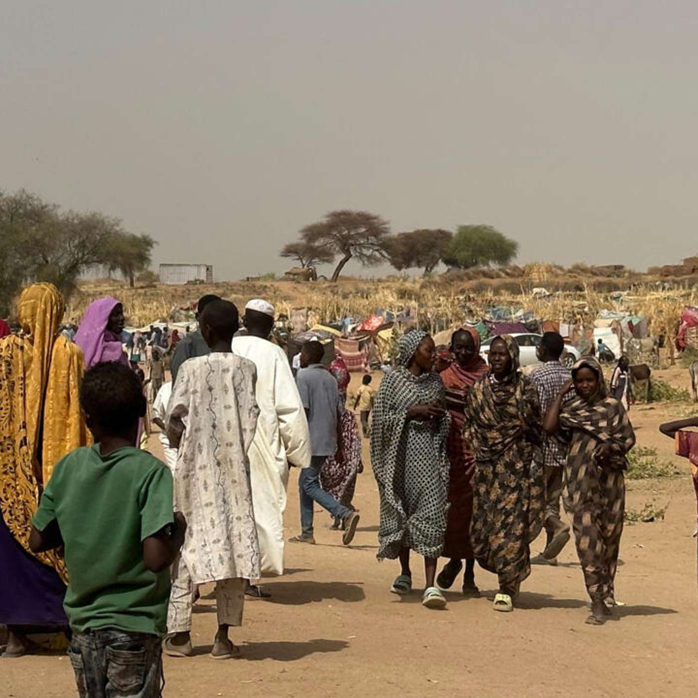 Sudan Conflict Escalates Humanitarian Crisis, Israeli Airstrike Kills Six Family Members, Macron Advocates Palestinian State at UN, Trump's Tariff Turmoil Intensifies, and more...