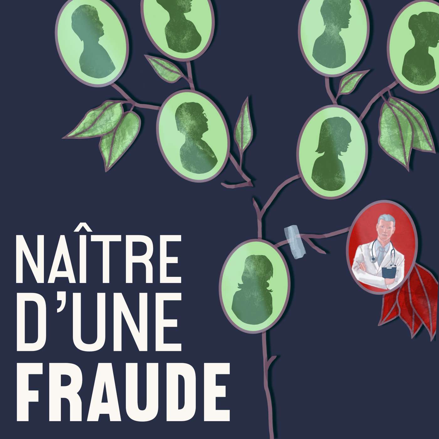 Naître d'une fraude cover art