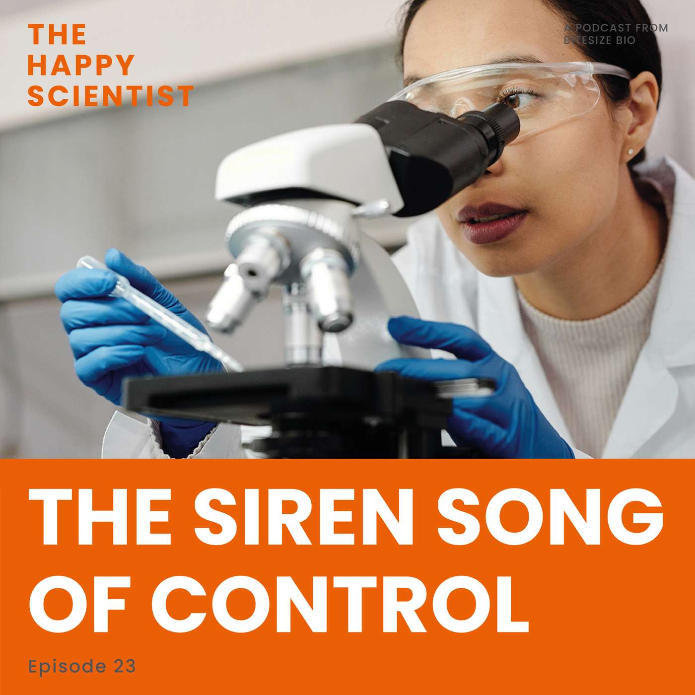 The Siren Song of Control episode artwork