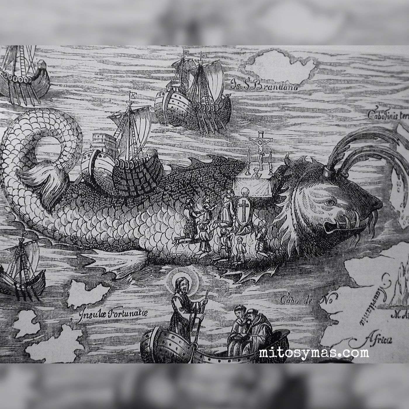 La isla tortuga y otras islas marinas monstruosas episode artwork