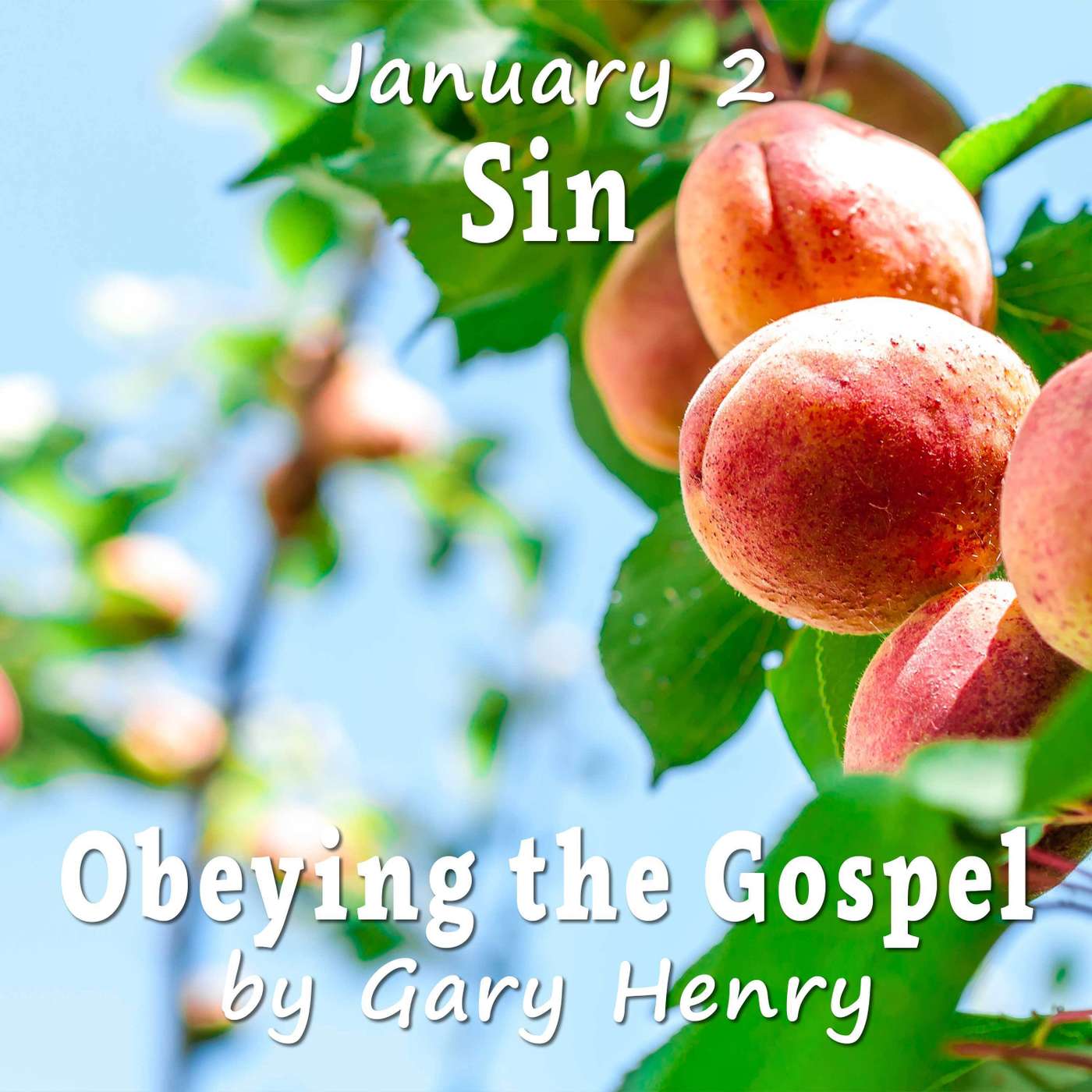 Sin (January 2)