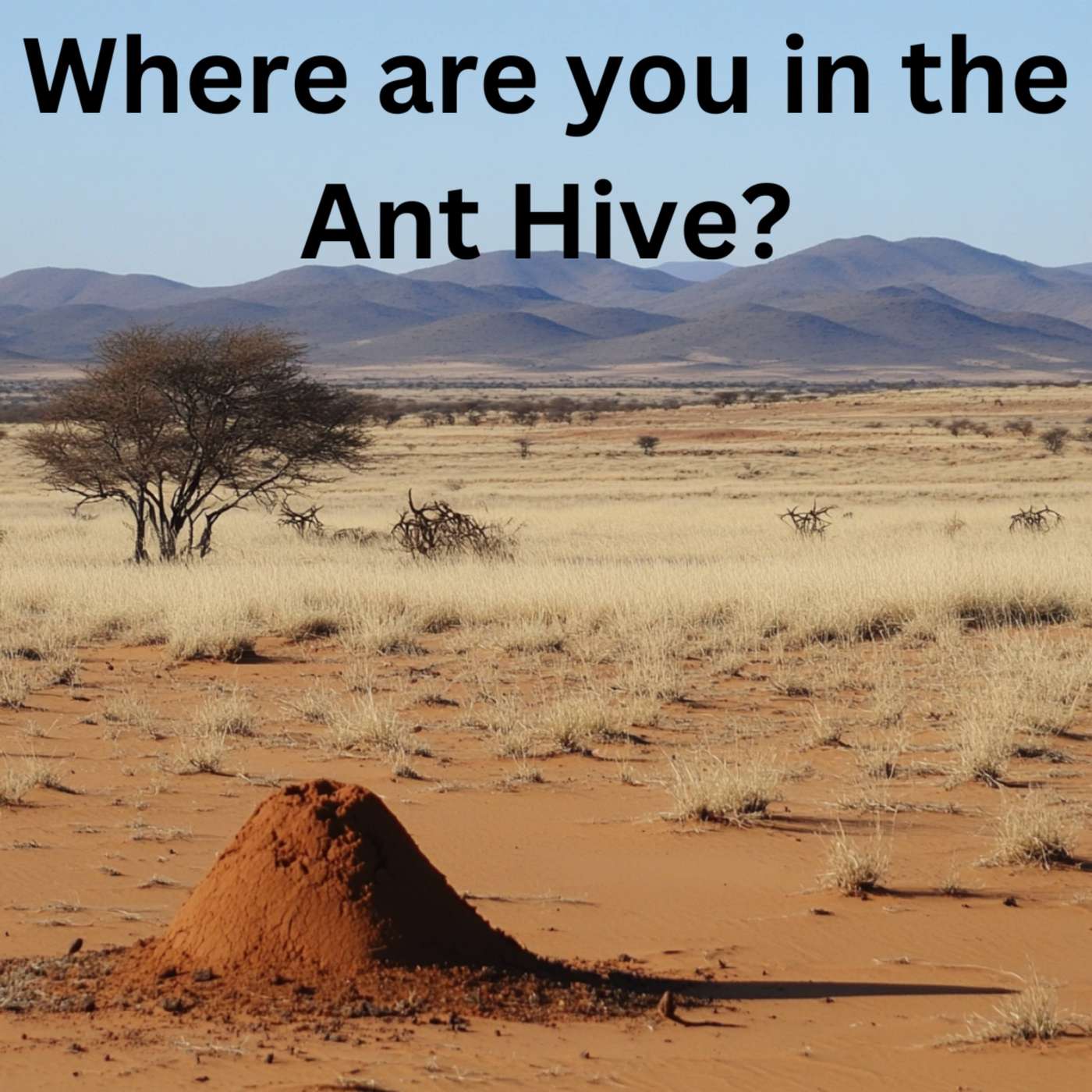 Day 148 - Where are you in the Ant Hive? episode artwork