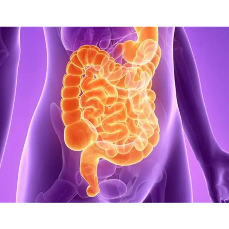 The Science Behind Your Mind & Your Illness