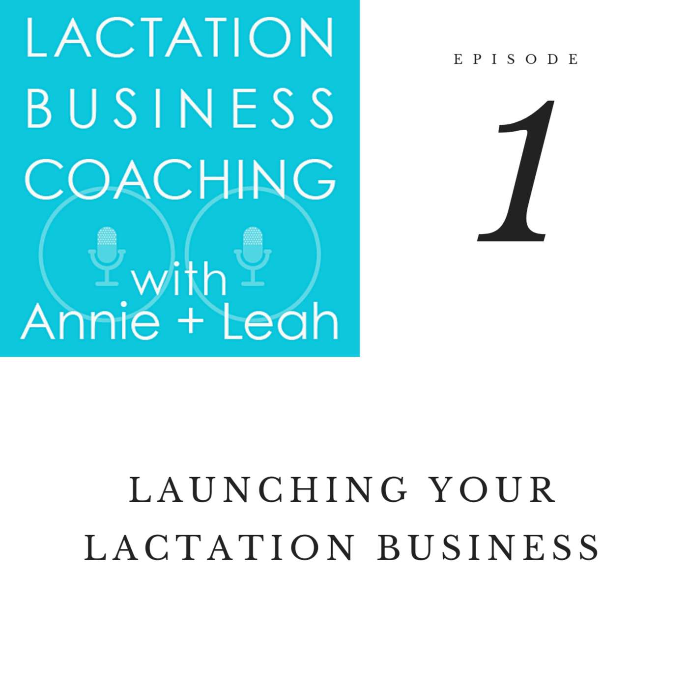 Lactation Business Coaching with Annie and Leah