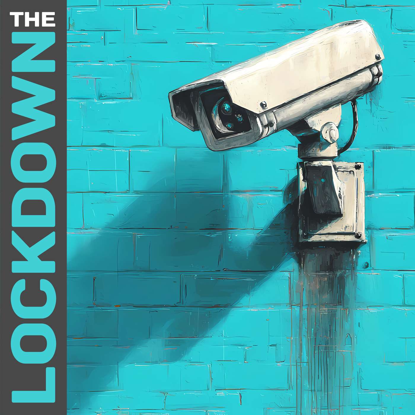 028 - Silence & Stealth - Mailbox, Email & Anti-KYC Phone Strategies