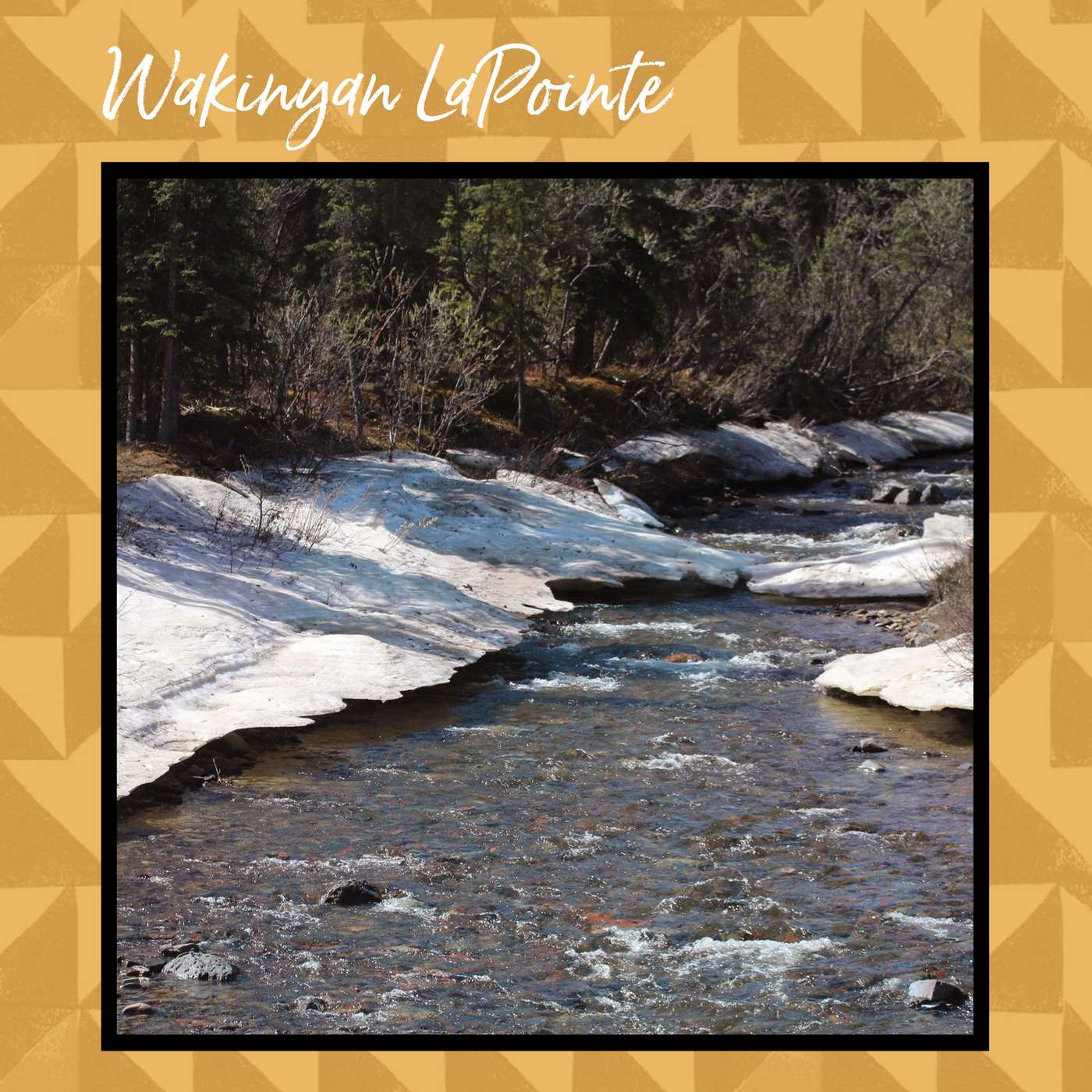 Indigenous lifeways as solutions: Wakinyan LaPointe on staying grounded in the cultural teachings of song and the intelligence of Indigenous youth activists episode artwork