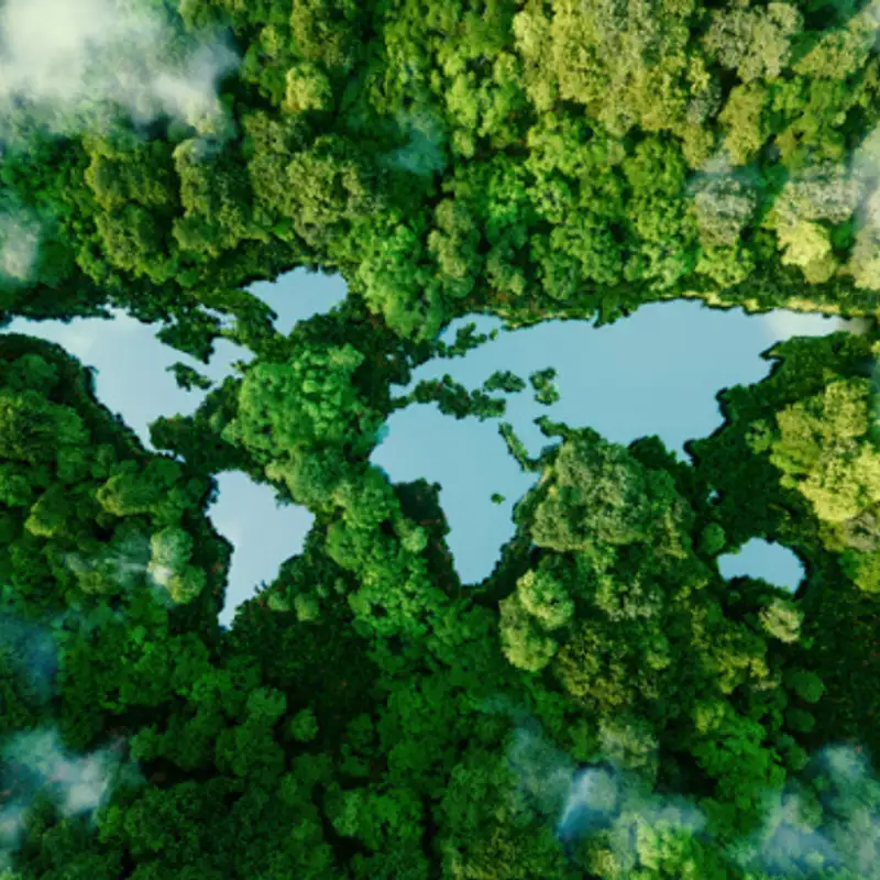 CO2 Is Not a Pollutant: The Benefits of Rising CO2 (Guest: Will Happer) 