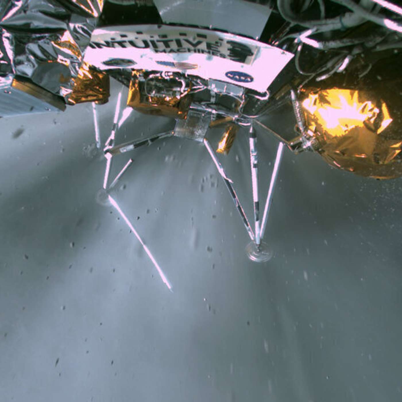 Historic Moon Landing by Intuitive Machines, India Celebrates National Science Day, NYU Scientists Uncover Genetic Clue, Daily Marijuana Use Raises Heart Attack Risk, and more...