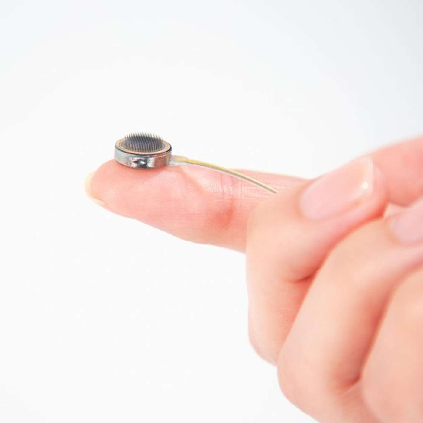 Moss Survives Space Station Exposure, New Pain Relief Via VLK Inhibition, Lilly Unveils Needle Free Slim Pill, Shallow Habitats Endanger Shark Evolution, and more...