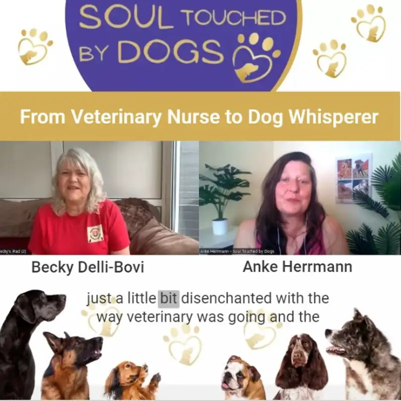 Becky Delli-Bovi - From Veterinary Nurse to Dog Whisperer