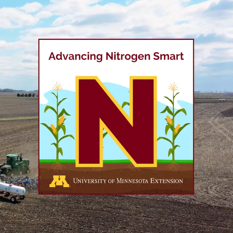 Nitrification inhibitors in detail: Important information to help delay N loss