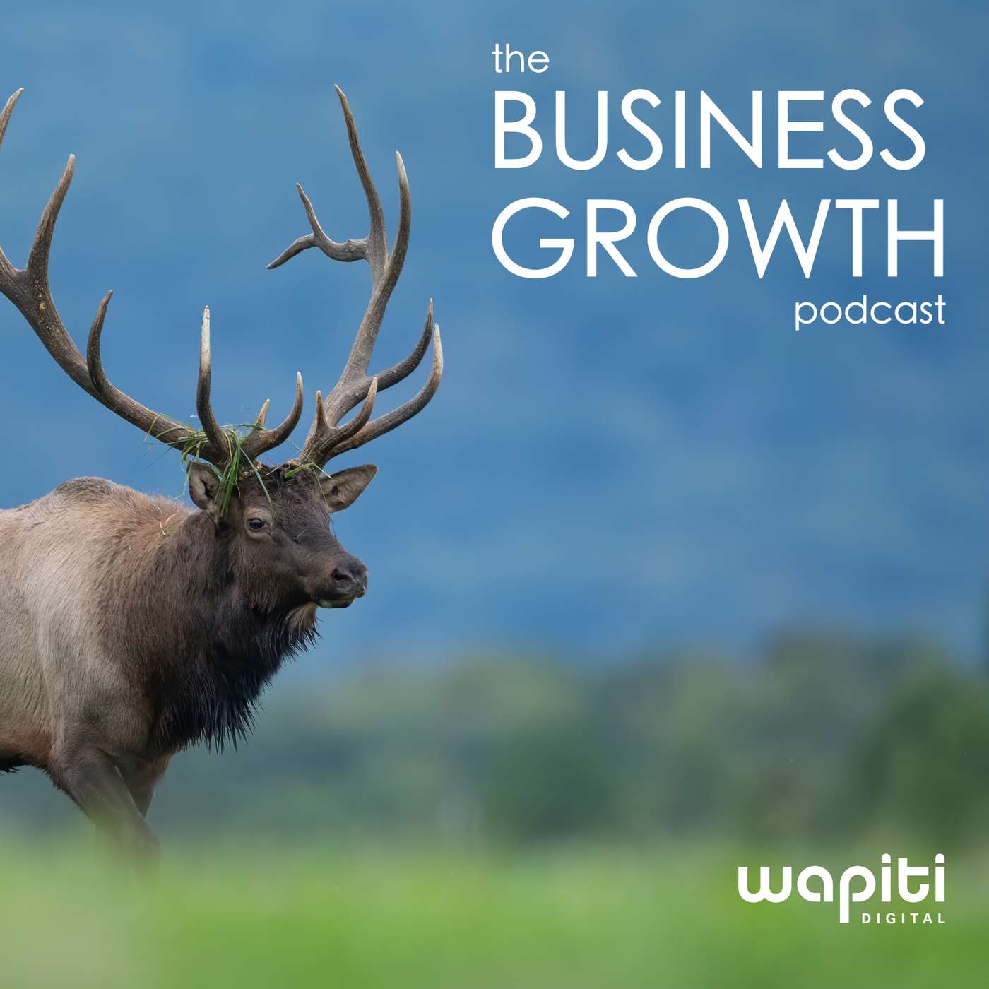 Sell More Online by Wapiti Digital