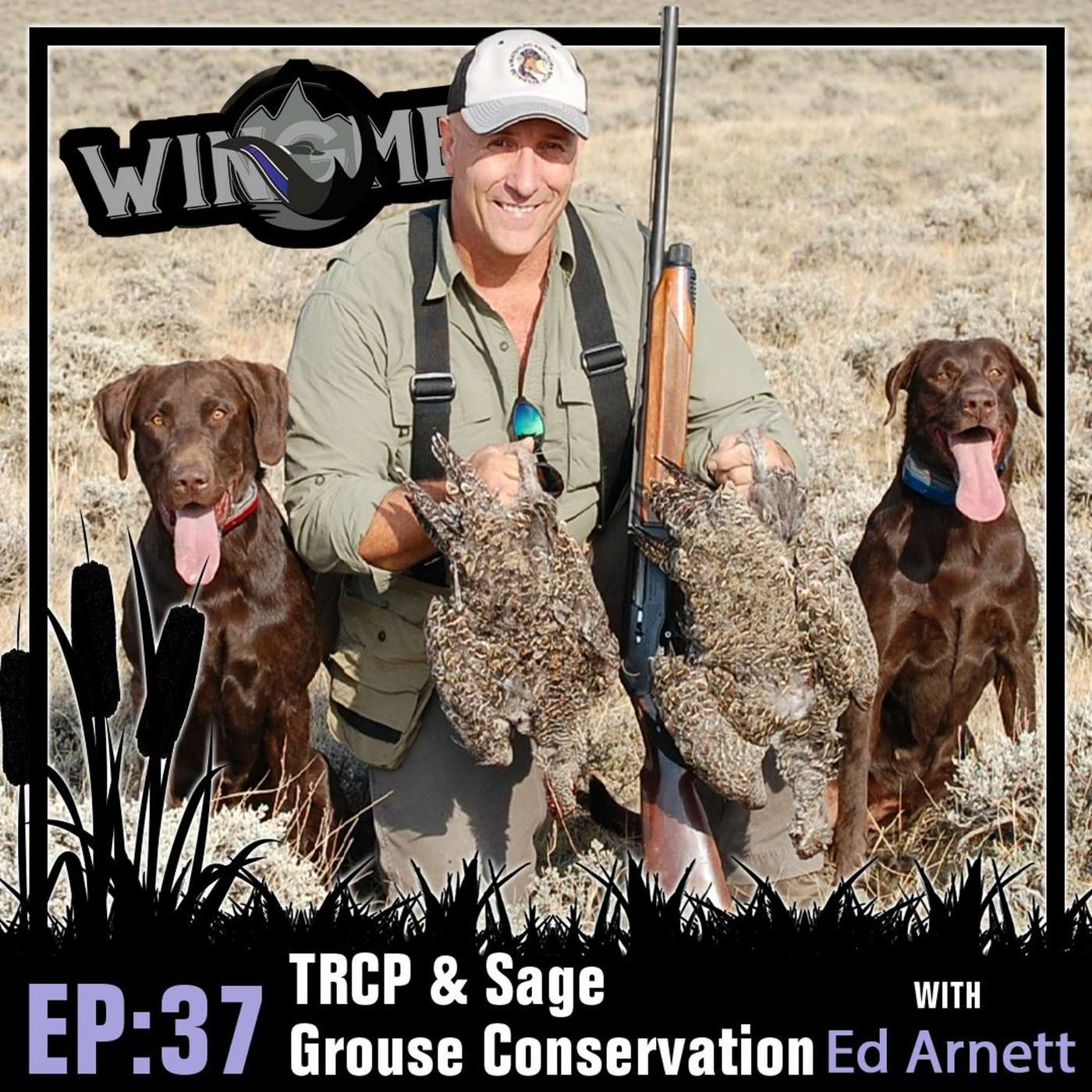 Wingmen Podcast EP 37: TRCP & Sage Grouse Conservation with Ed Arnet episode artwork