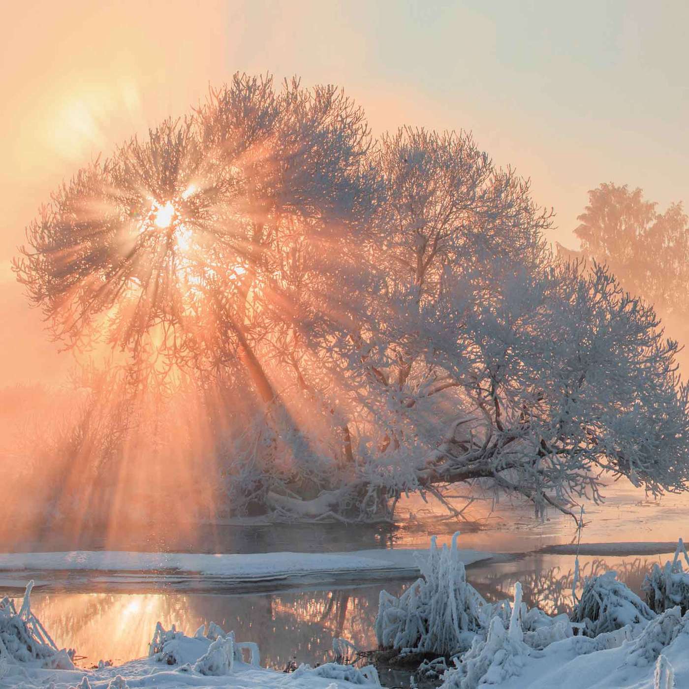 Solstice Cheer: Three Friends uphold a Podcasting Tradition with Della Duncan, Nathalie Nahai and Manda Scott