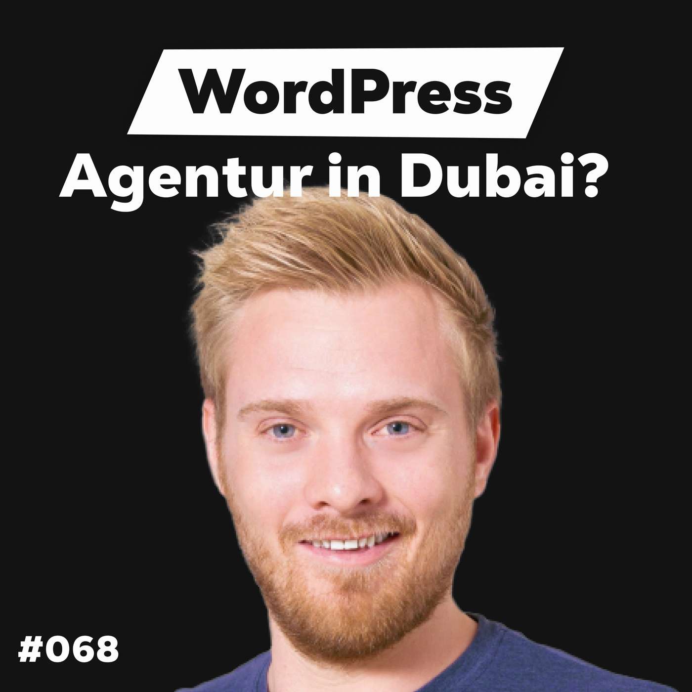 Die Dominik Liss Show (WordPress & Business Talks)