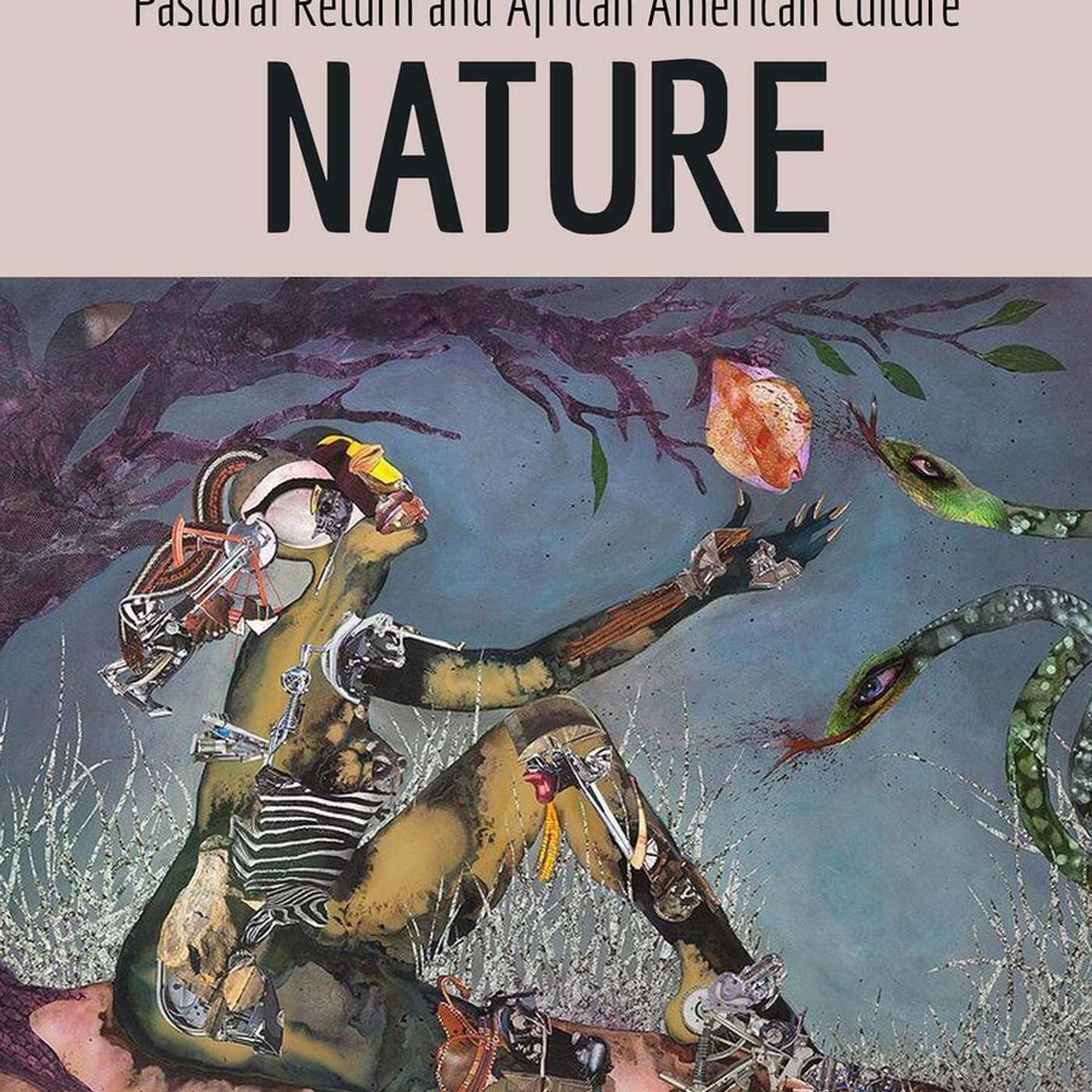 Stefanie Dunning on Black to Nature: Pastoral Return in African American Culture