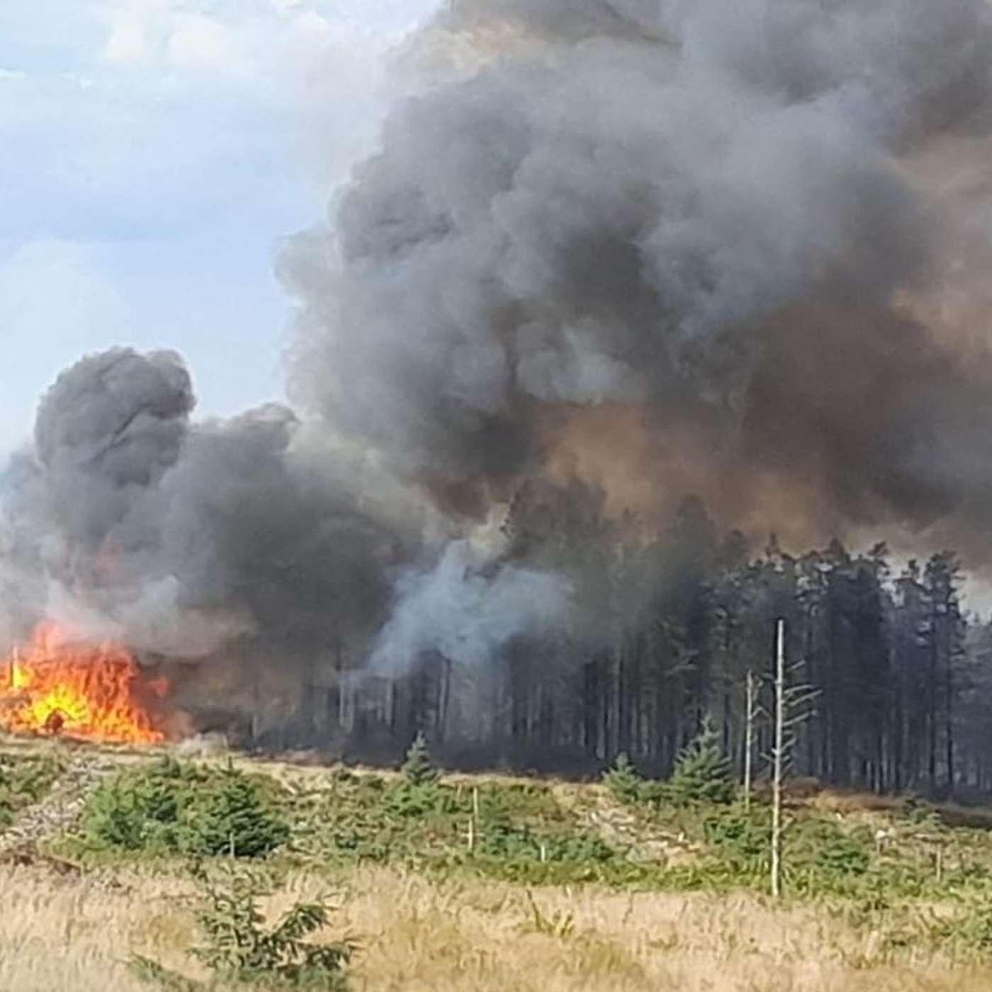 Wildfire Fuels and Explosives, UK Fertility Rates Drop, France Delays Maritime Legislation, Colchester Summer Series Excites, and more... episode artwork