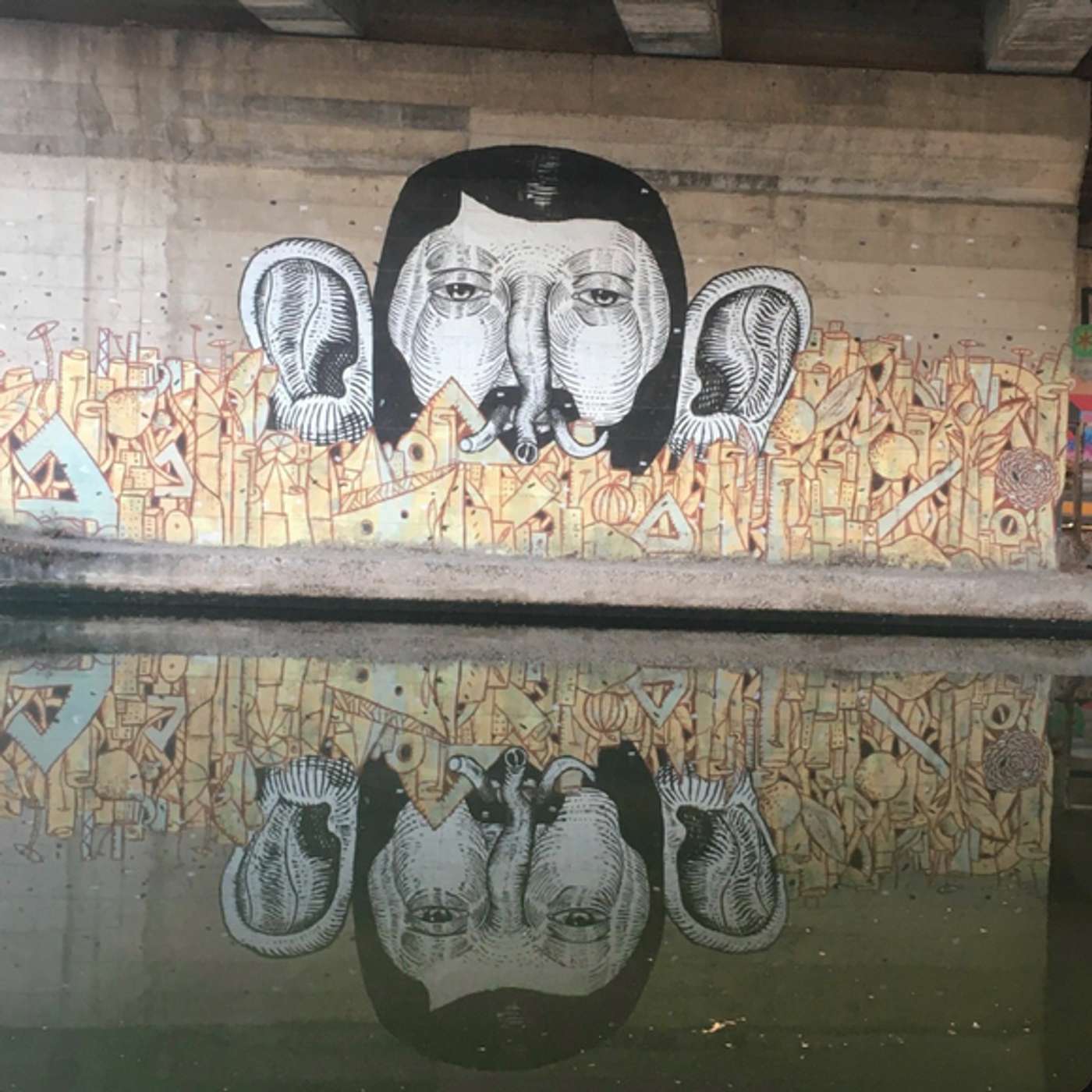 My last 5 searches on Google