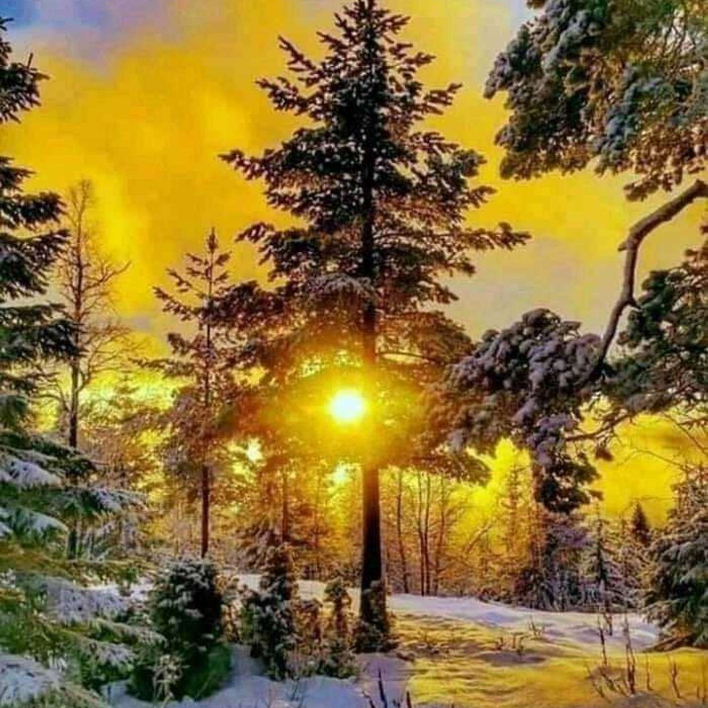 Kickin\' Cancer Cares