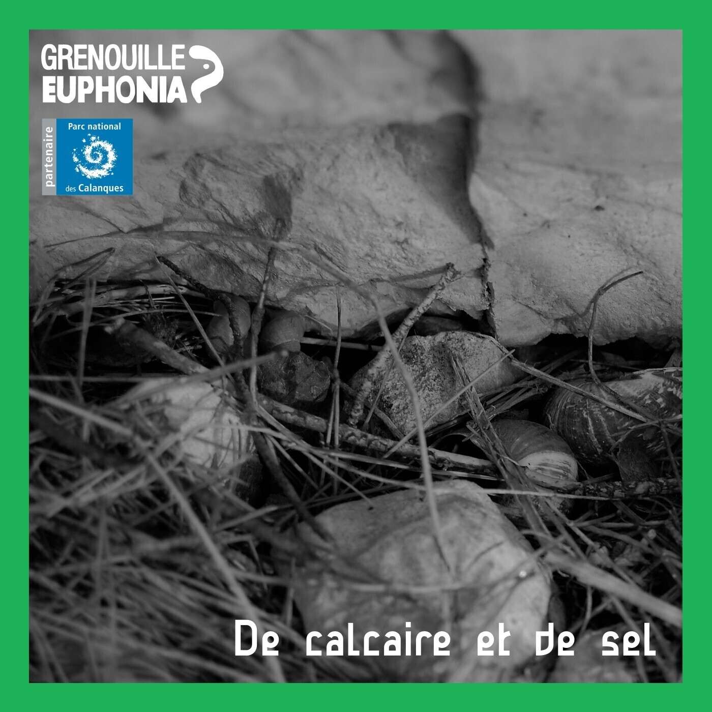 De calcaire et de sel | Port Miou, la calanque qu'on ne voit pas - ep2