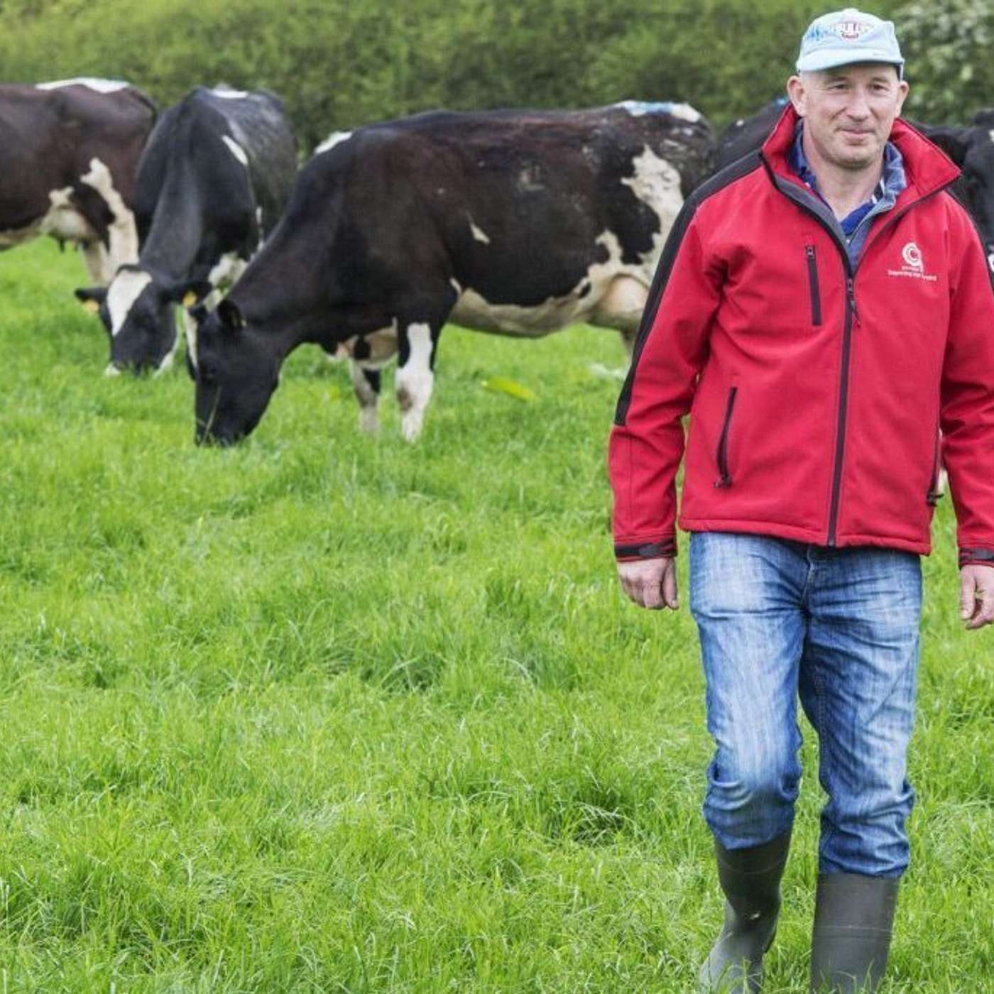 Insights from the visit of the New Zealand Special Agriculture Trade Envoy to Teagasc Dairygold Signpost Farmer, Sean Moher