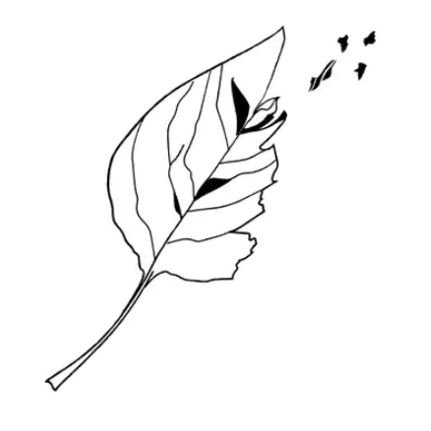 נפגעת: אחות