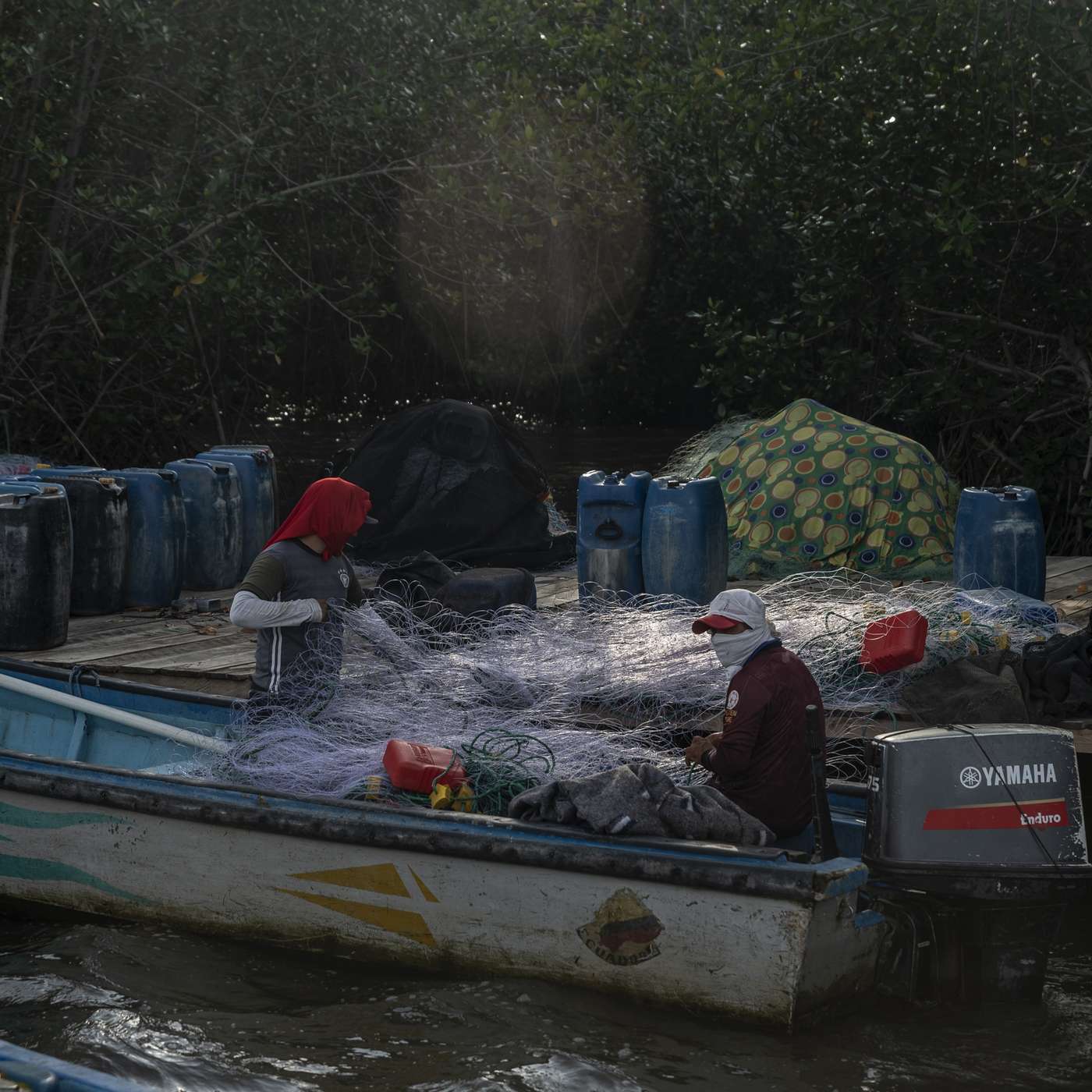 Protecting Ecuador's Mangrove Forests - the Example of Isla Costa Rica episode artwork