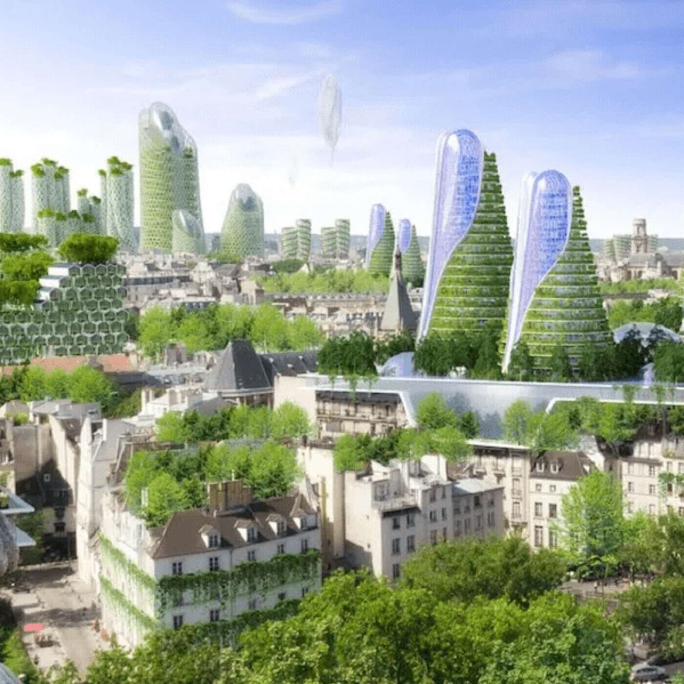 Les capsules du dehors | Végétalisation urbaine episode artwork