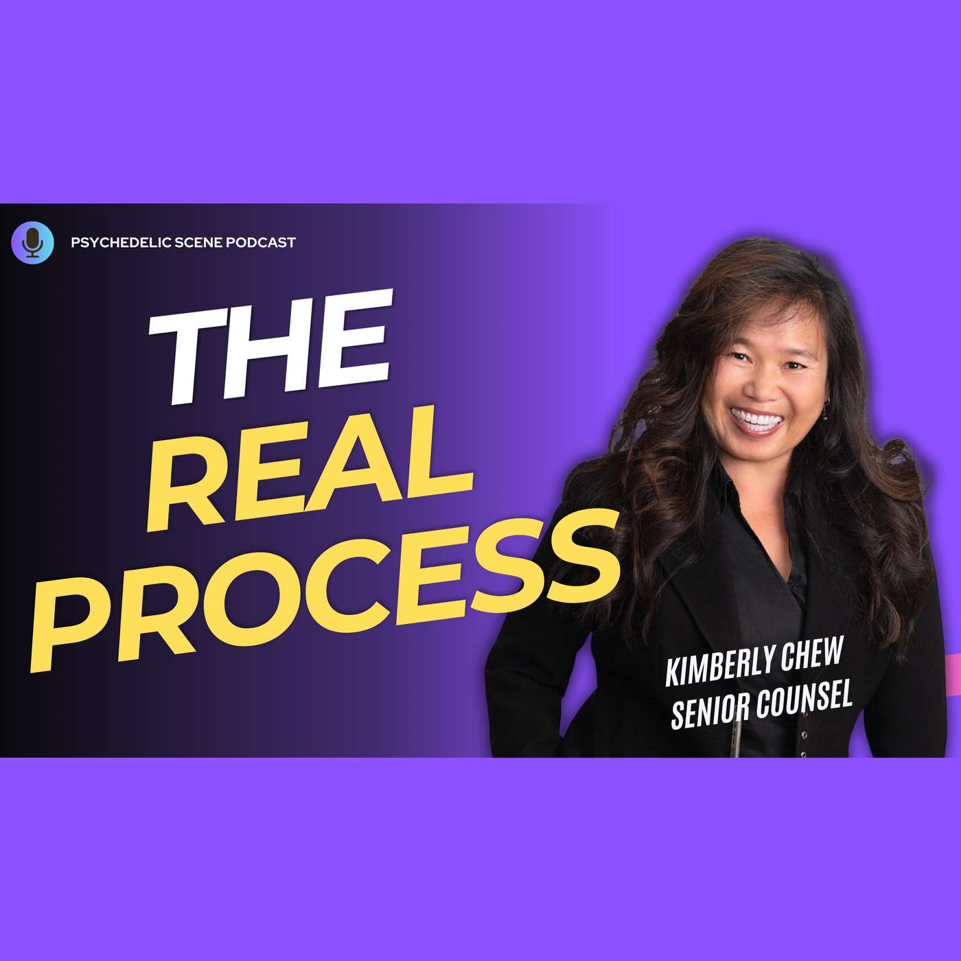 The System Behind Psychedelic Therapy Access with Kimberly Chew episode artwork