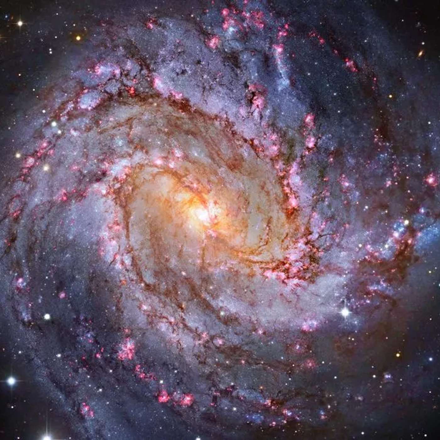 Space Dust Drives Complex Molecule Growth, Saudi Emerges as Global Hub, Israel Faces Mental Health Crisis, UK High Streets Combat Gangs, and more... Space Dust Drives Complex Molecule Growth, Saudi Emerges as Global Hub, Israel Faces Mental Health Crisis, UK High Streets Combat Gangs, and more...