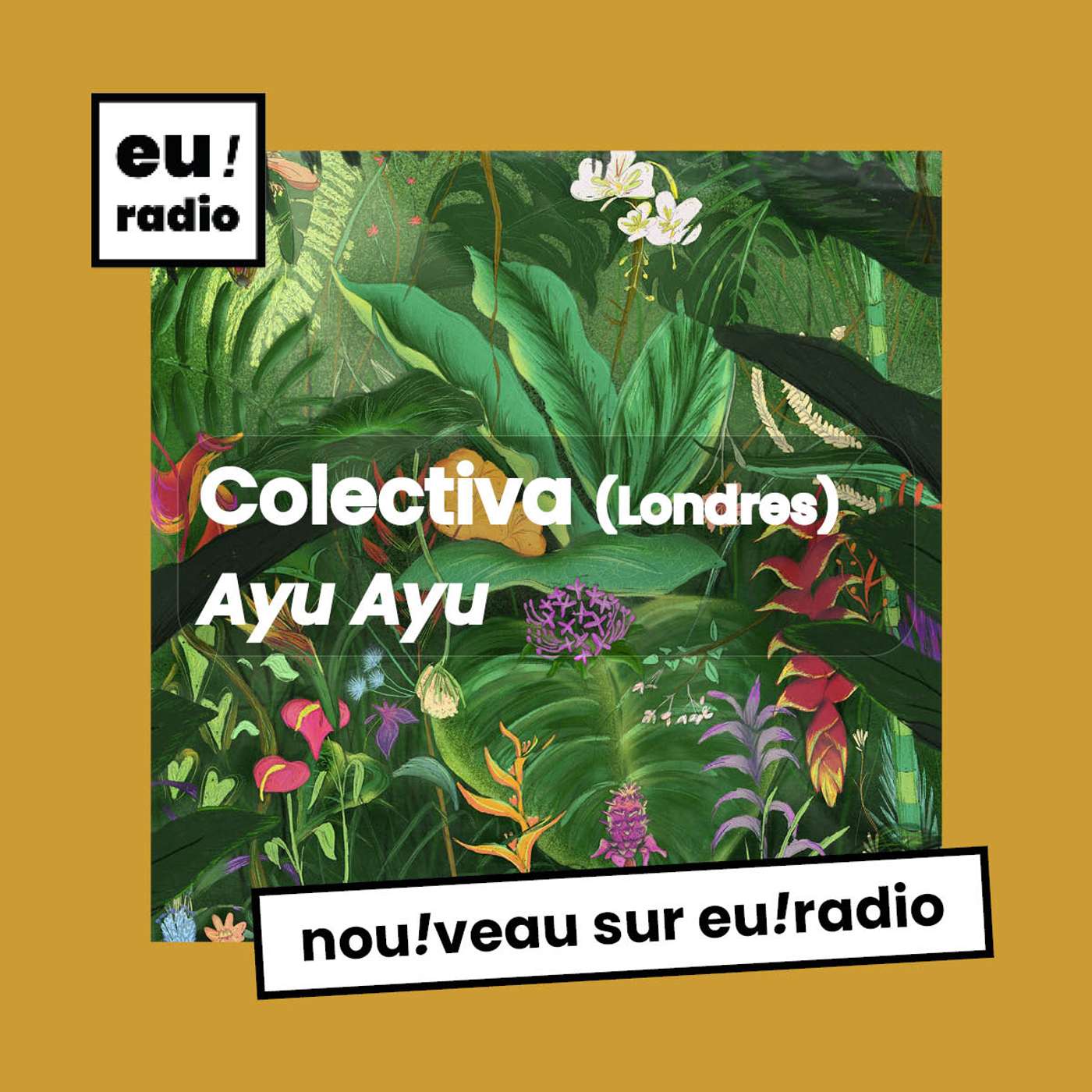 Colectiva - "Ayu Ayu" Colectiva - "Ayu Ayu"