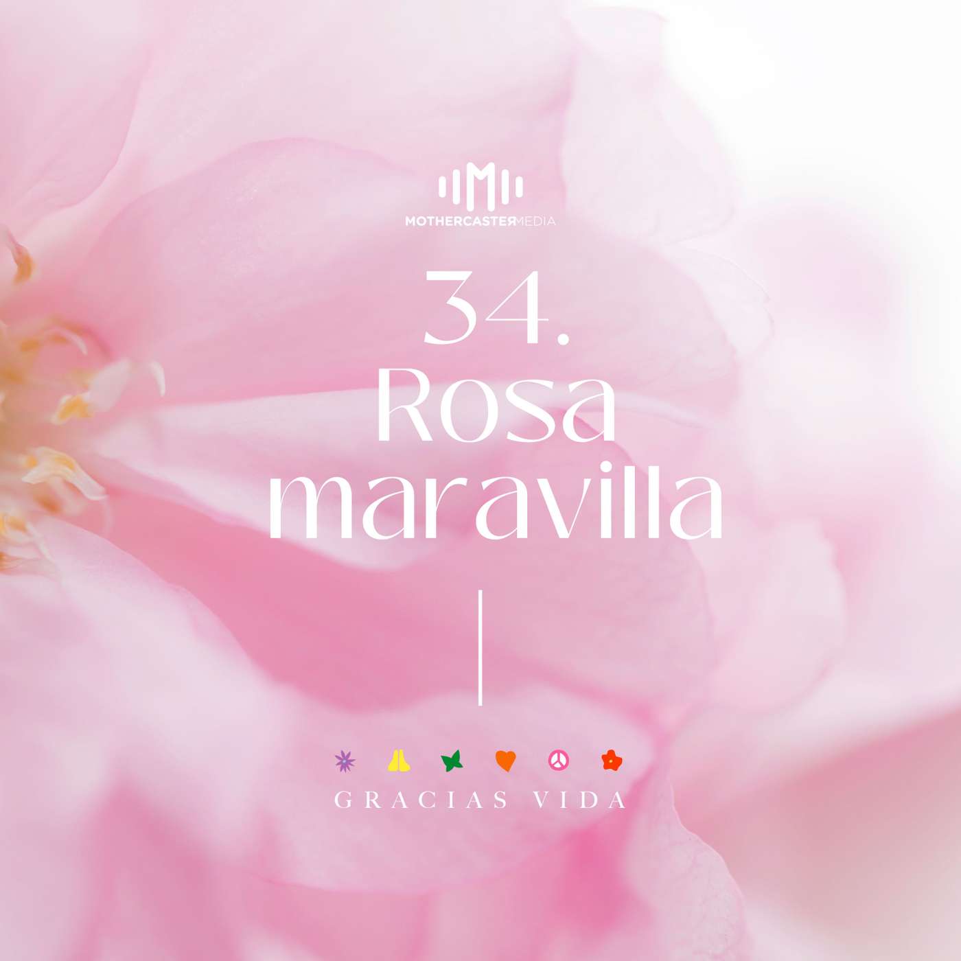 El sonido de los colores