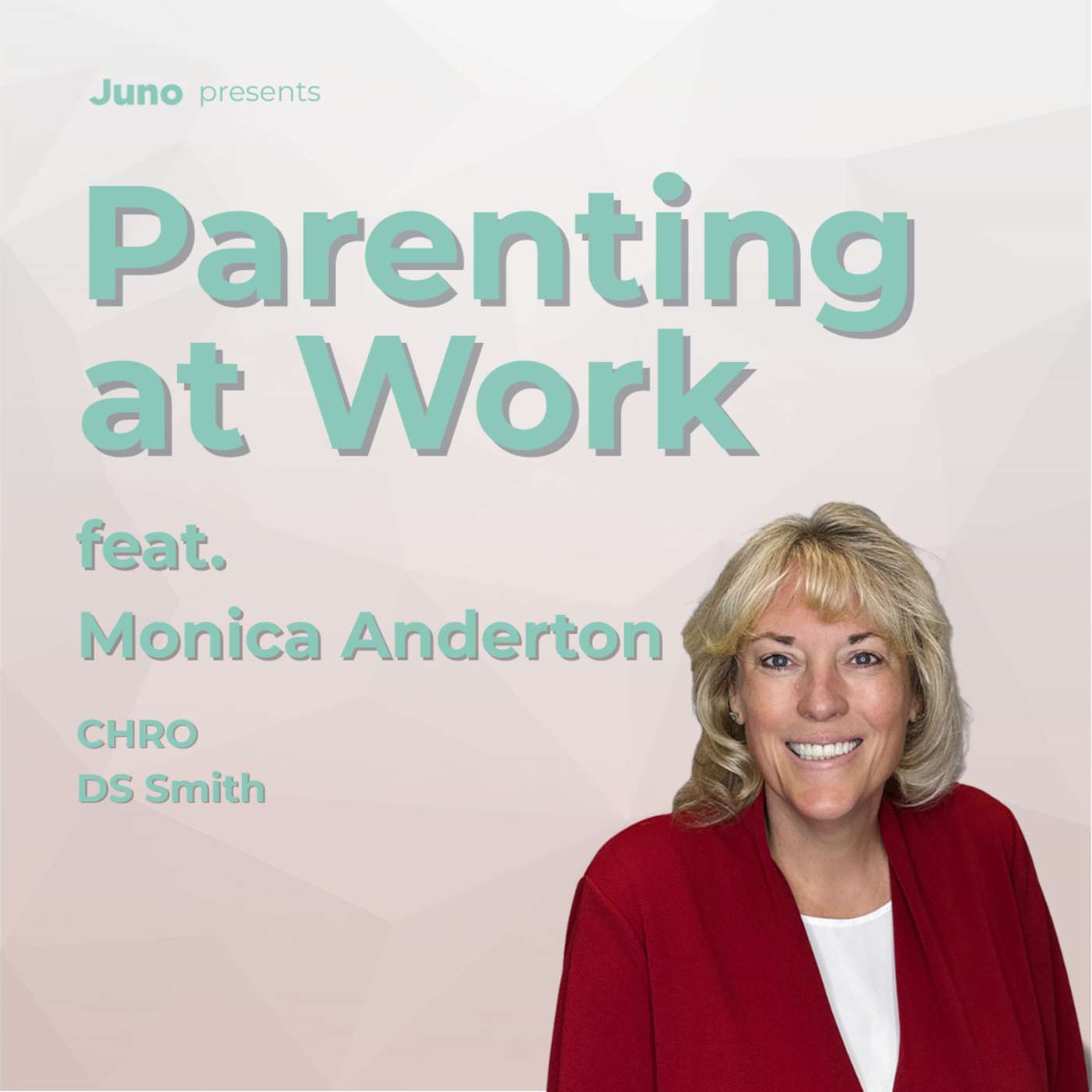 Monica Anderton, CHRO at DS Smith episode artwork