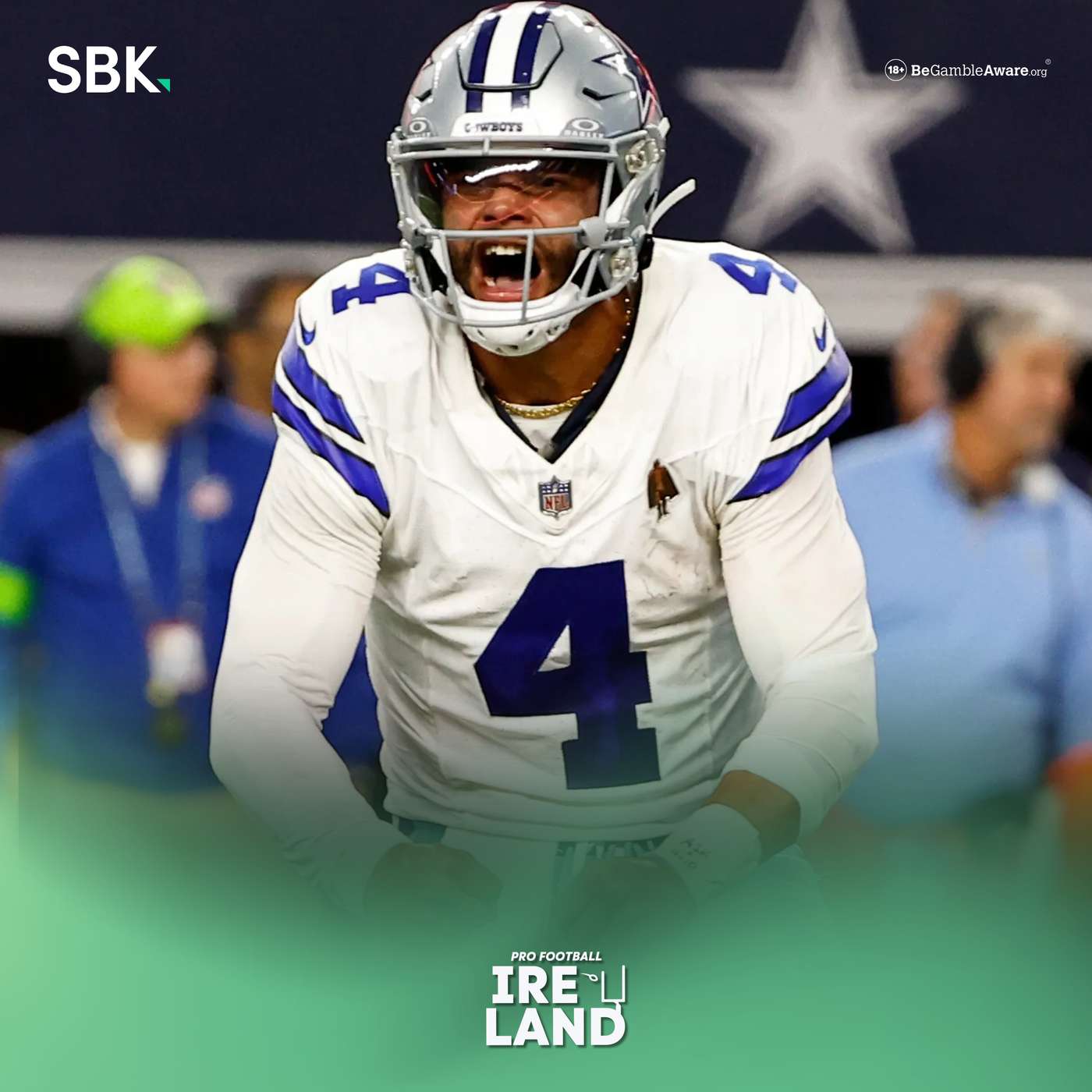 Pro Football Ireland : The Irish NFL Podcast