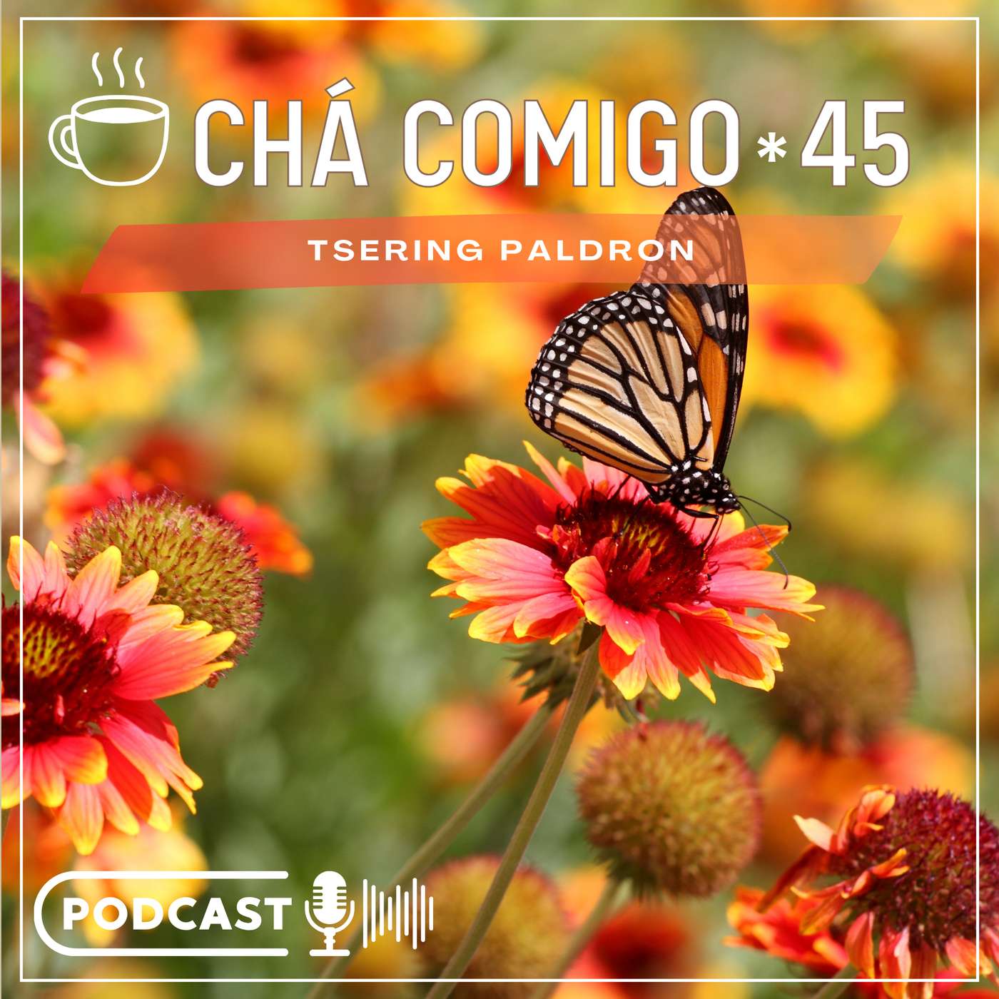A Primavera chega e a erva cresce episode artwork