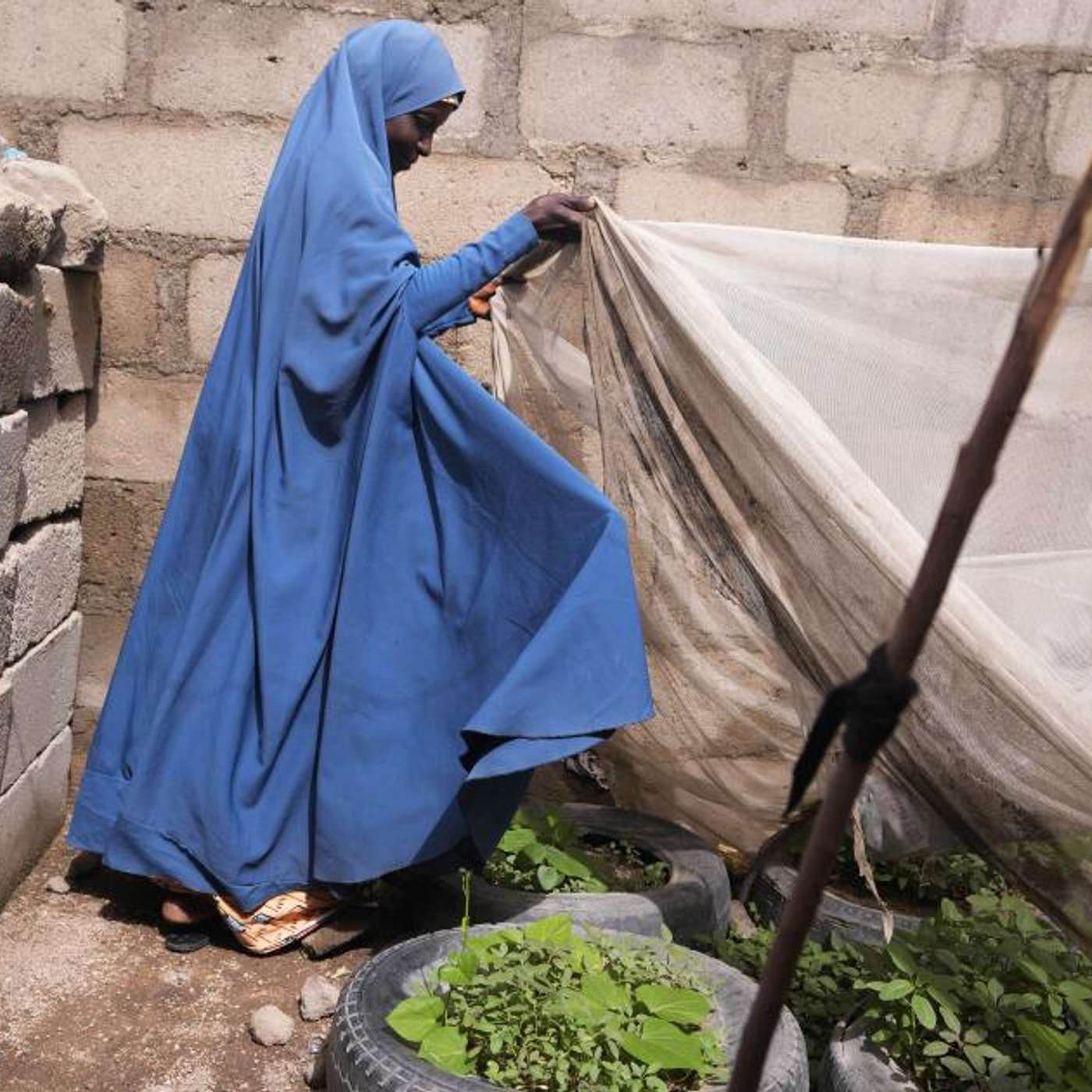 Child Food Poverty Crisis, RSF Attack in Sudan, Tokyo Invests in Matchmaking App, UN Security Council Elects New Members, and more...