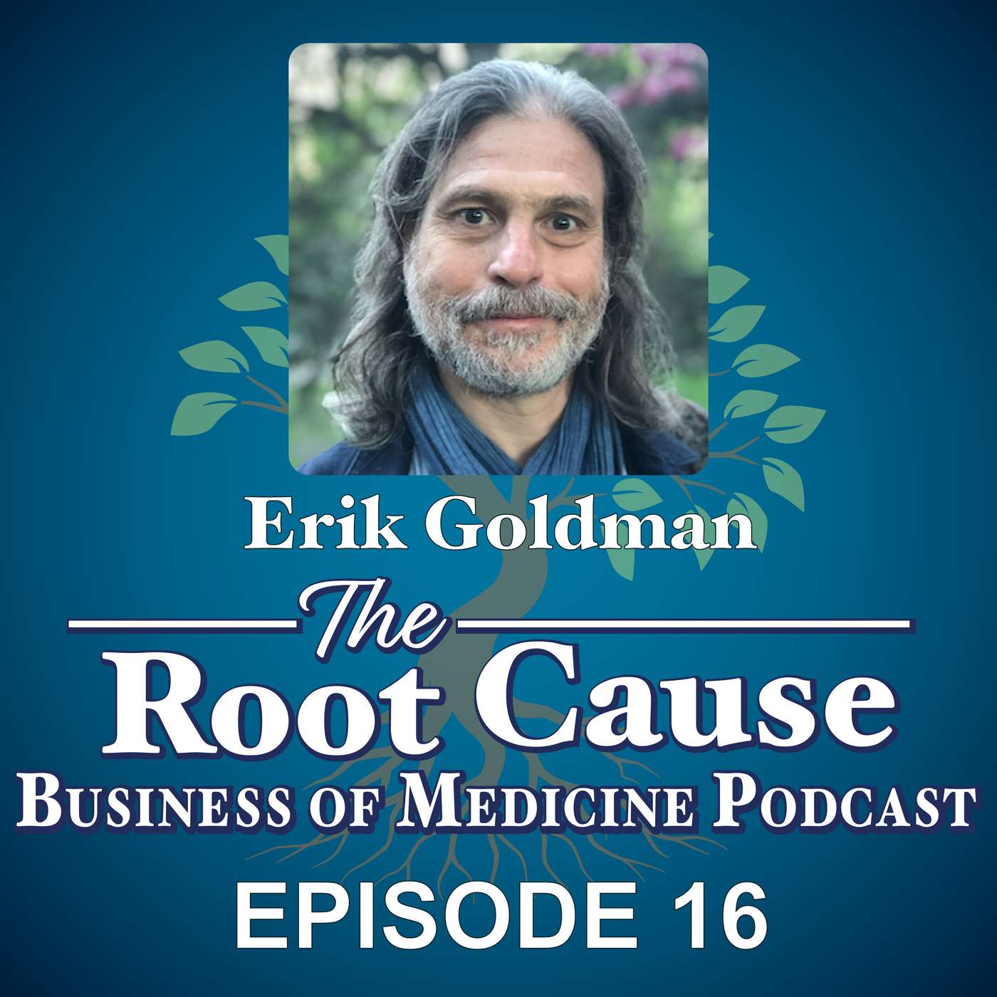 Episode 16: Healing the Healers with Erik Goldman - 25 Years Covering the Business of Integrative Medicine episode artwork