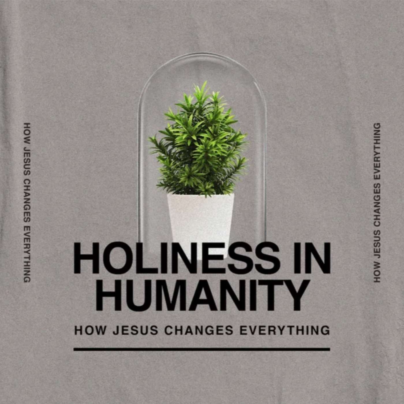 Jesus + Zacchaeus | Holiness in Humanity | Week 12 episode artwork