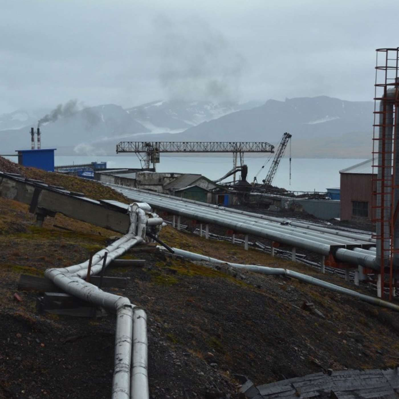 "Арктикуголь" ищет судно для перевозки людей и грузов