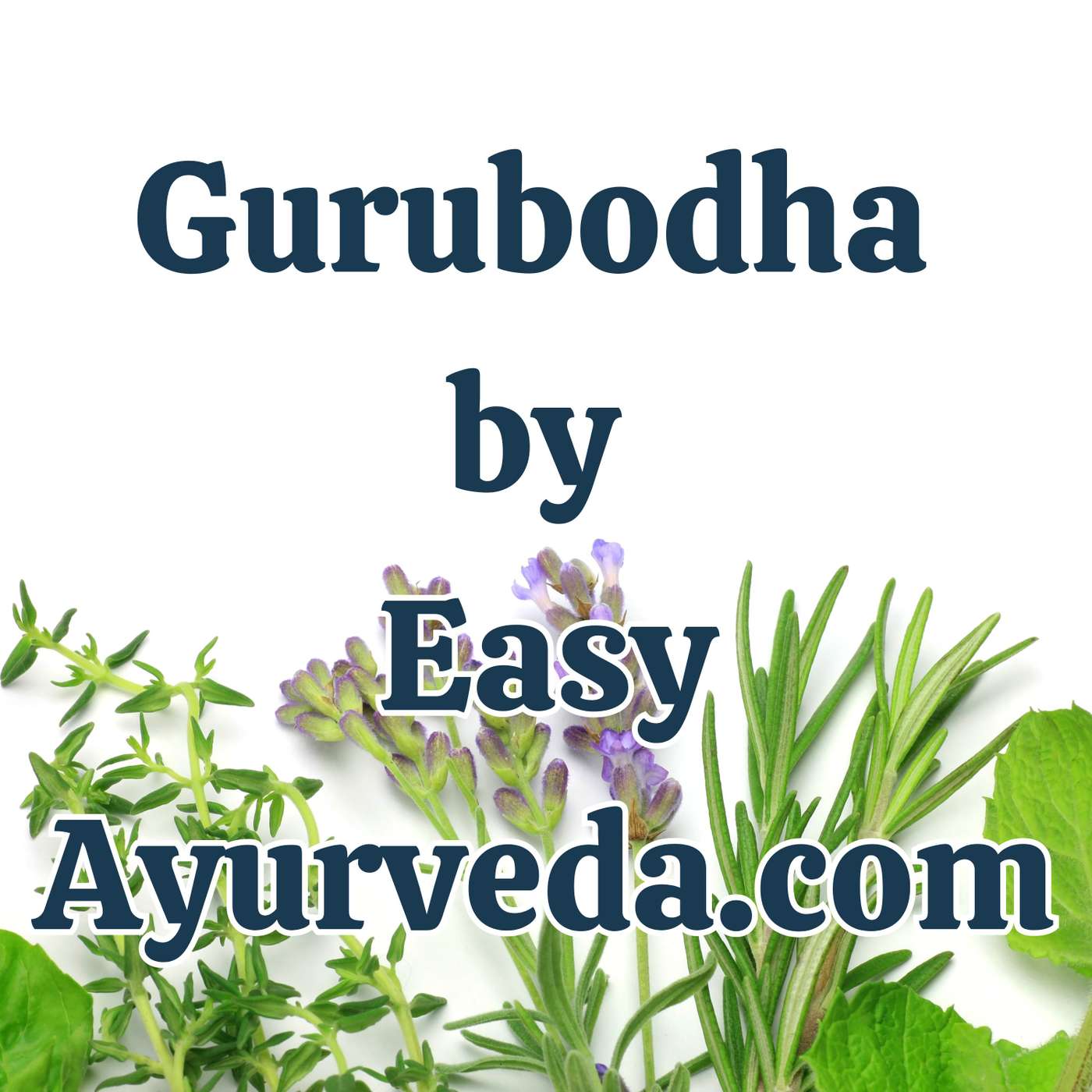 Gurubodha 139: Retinitis Pigmentosa| How a drug works in Ayurveda? Half-life of medicines| Bulk of muscles – might not be sign of good health episode artwork