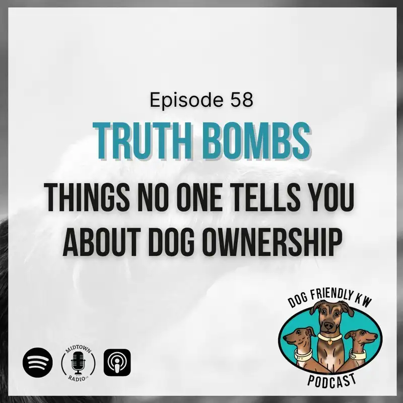 Truth Bombs: All about the ZOOMIES; Does Training EVER END? Dogs EAT THEIR OWN POOP?!