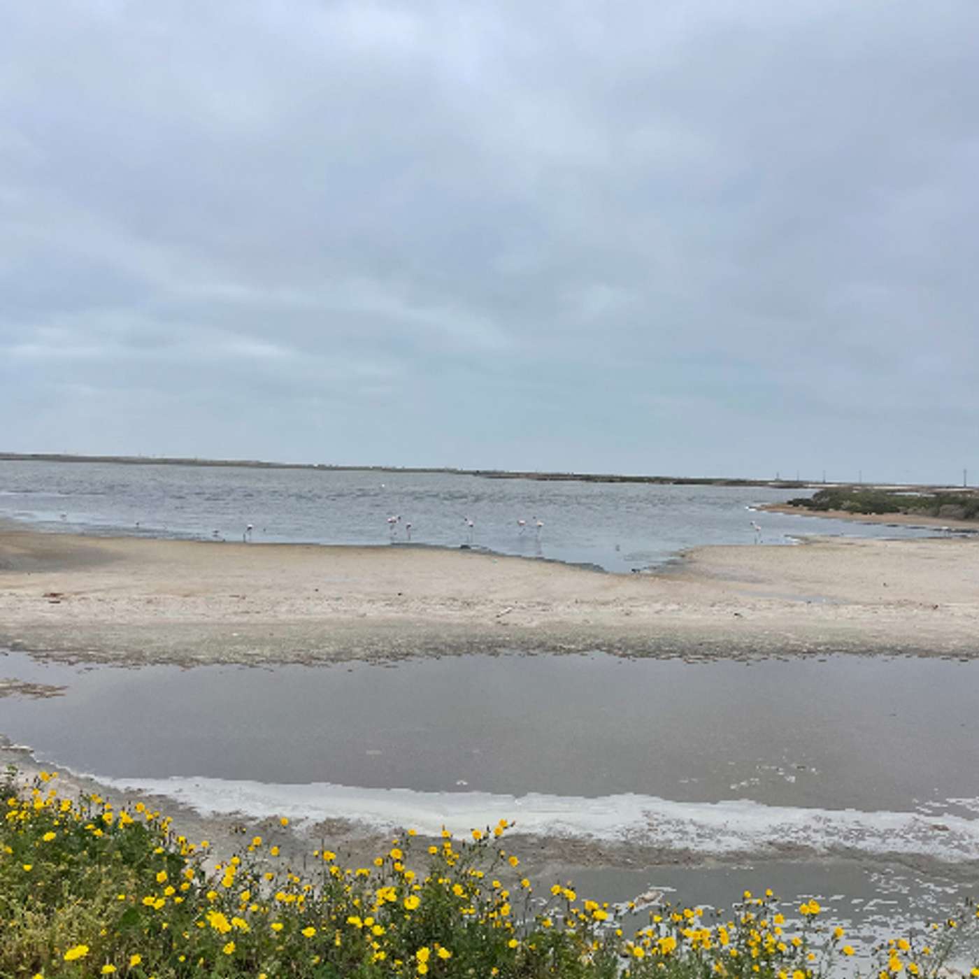 Instructions for a safe crossing [Cities and Memory]