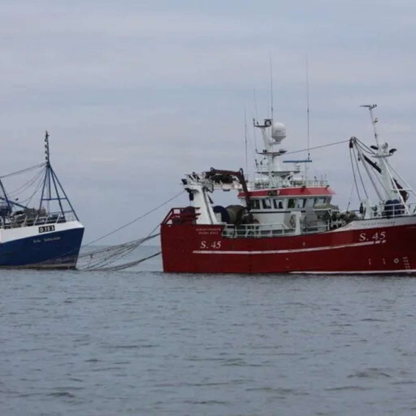 Sprats, overfishing, heatwaves & ecosystems in danger of collapse