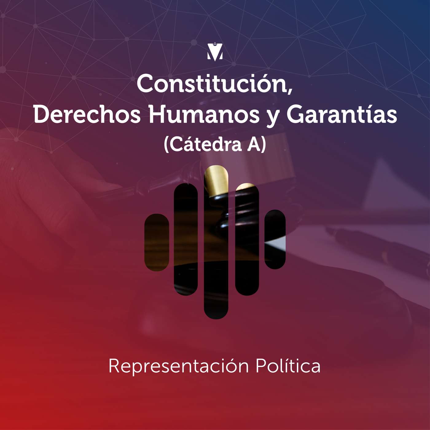 16 - CONSTITUCIÓN, DERECHOS HUMANOS Y GARANTÍAS (CÁTEDRA A): Representación Política episode artwork